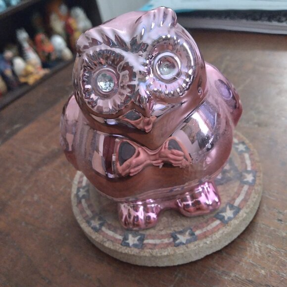 Other - Owl Bank Bling